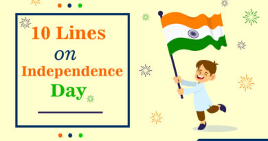 Independence Day essay