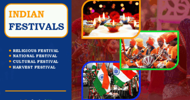 Indian Festivals Diversity