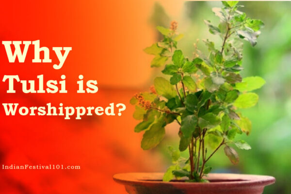 Why Tulsi is Worshipped